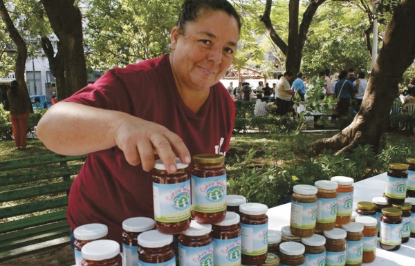 Plan Nacional de SoberanÃ­a y Seguridad Alimentaria y Nutricional PLANAL