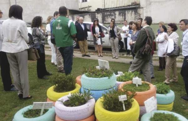 Programa de Ambientes Verdes y Saludables en Sao Paulo (PAVS)